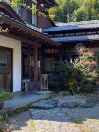 【福岡カフェ】自然に囲まれた素敵なカフェ🌿