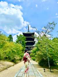 〜京都府〜一度は行こう！歴史長い世界遺産仁和寺