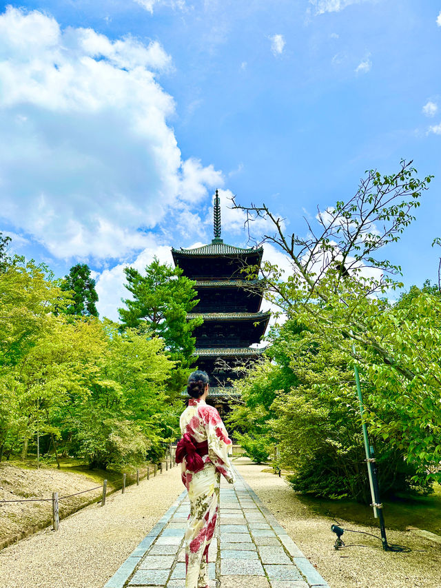 〜京都府〜一度は行こう！歴史長い世界遺産仁和寺