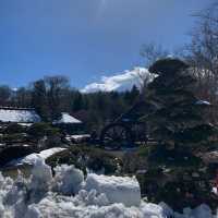 3월의 후지산🗻