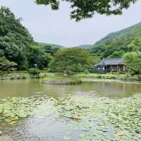진도 운림산방
