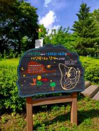 [正能量旅遊] 汝矣島公園-首爾-城市悠閒散步地點