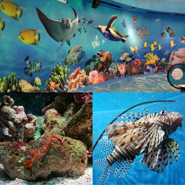 曼谷景點：SEA LIFE Bangkok Ocean World，適合家庭旅遊