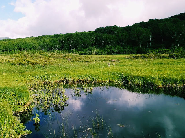 Shinsen-numa Marsh Parking Lot & Observation Deck
