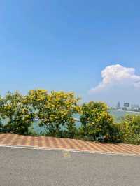 city coffee pattaya