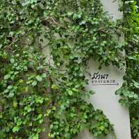 MiVana Coffee คาเฟ่ป่าในเมือง