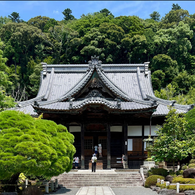 一本松川綠道：自然景觀與人文歷史的絕佳勝地