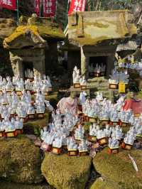 【鎌倉】佐助稲荷神社