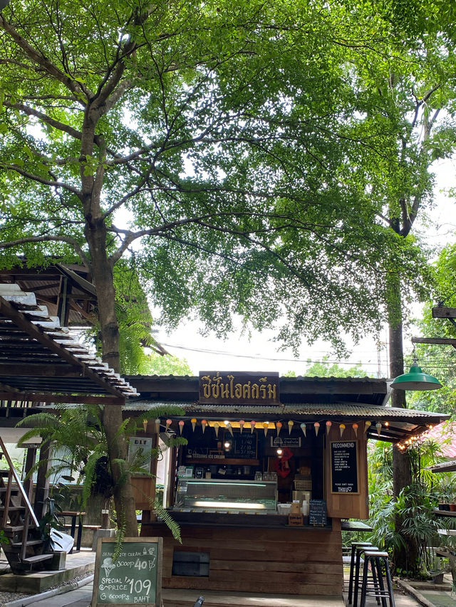บ้านข้างวัด | เชียงใหม่ 🏡🎨🌿🥤