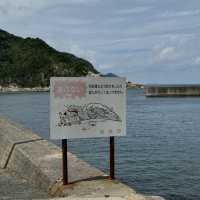 【福岡】近距離觀賞日本最大的玄武岩海蝕洞🌊🚢