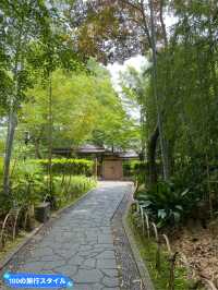 【静岡/伊豆修善寺】竹林の小径でおさんぽ🎋
