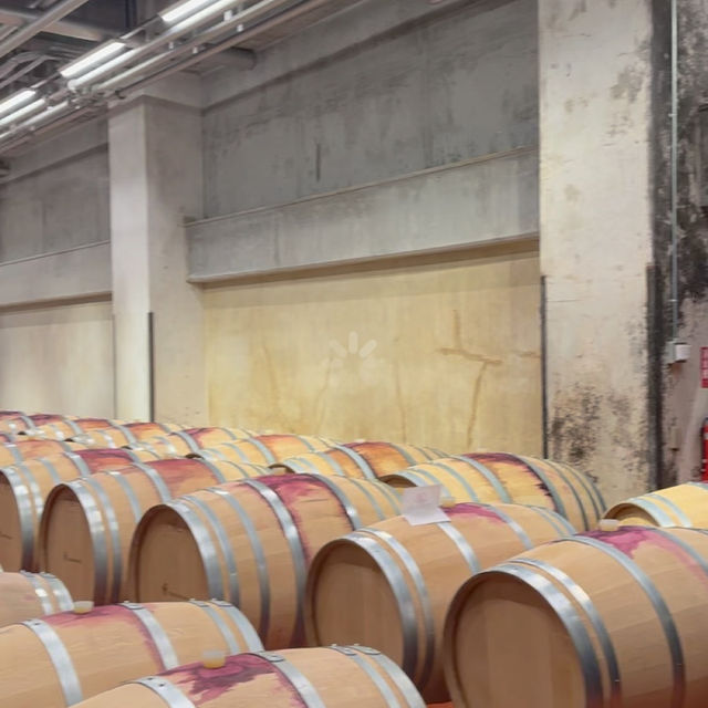 【北海道/池田町】ワイン城で無料の城内ツアーに参加🍷