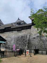 🏯마쓰야마 시내가 한눈에 보이는 마쓰야마 성🏯