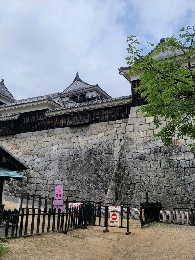 🏯마쓰야마 시내가 한눈에 보이는 마쓰야마 성🏯