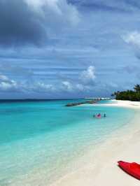 Get lost in the Indian Ocean Sea 🐬