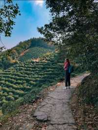 Hiking through Longjing Tea Fields in Hangzhou 🇨🇳