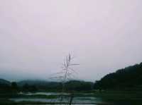 กางเต็นท์ที่อ่างเก็บน้ำเขาจุก