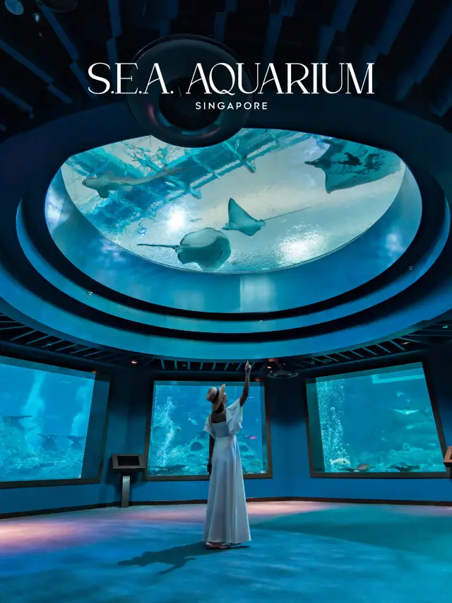 S.E.A. Aquarium พิพิธภัณฑ์สัตว์น้ำที่ใหญ่สุดในโลก🐟
