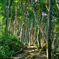 🇲🇾 Hike to the Top: Experience Bukit Keluang’s Stunning Views