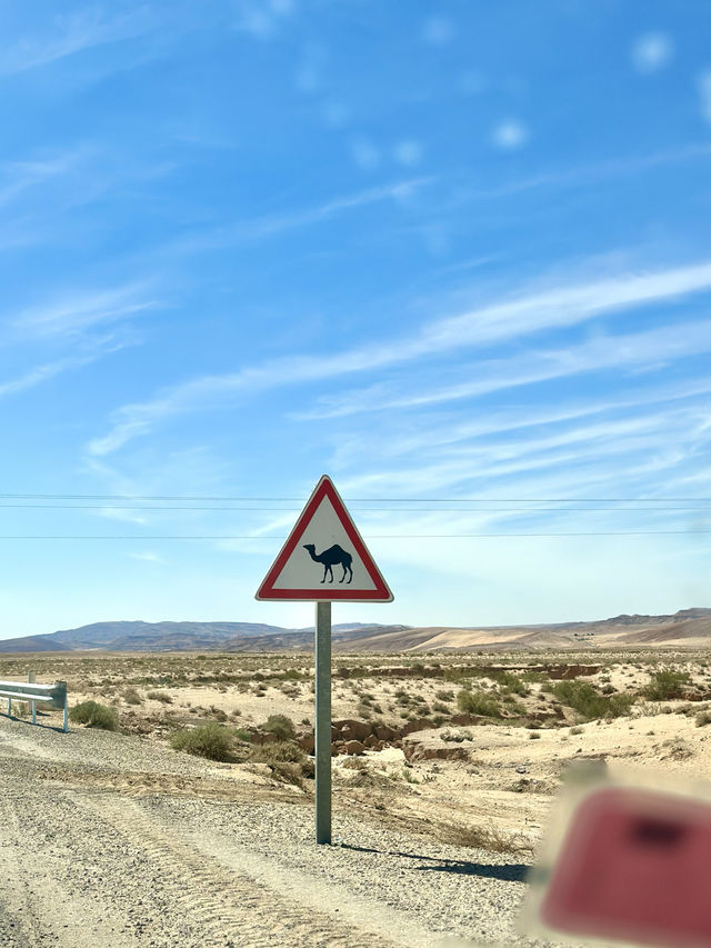 🚗 Epic Road Trip to the South of Tunisia 🏜️