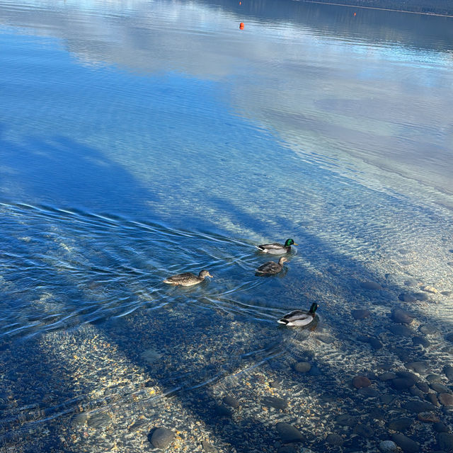 Counted days , counted miles .. just to you , LaKe TaHoe~