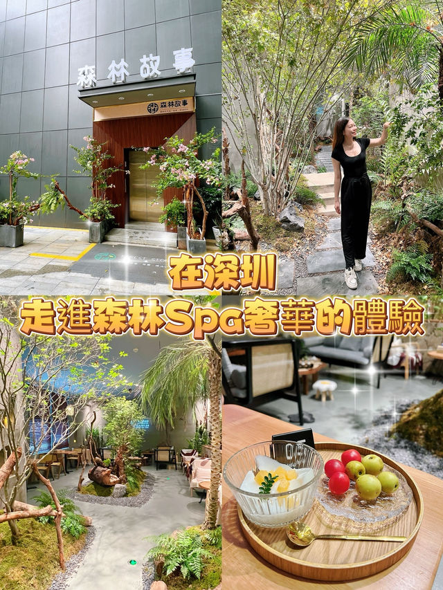 在深圳走進森林Spa奢華的體驗