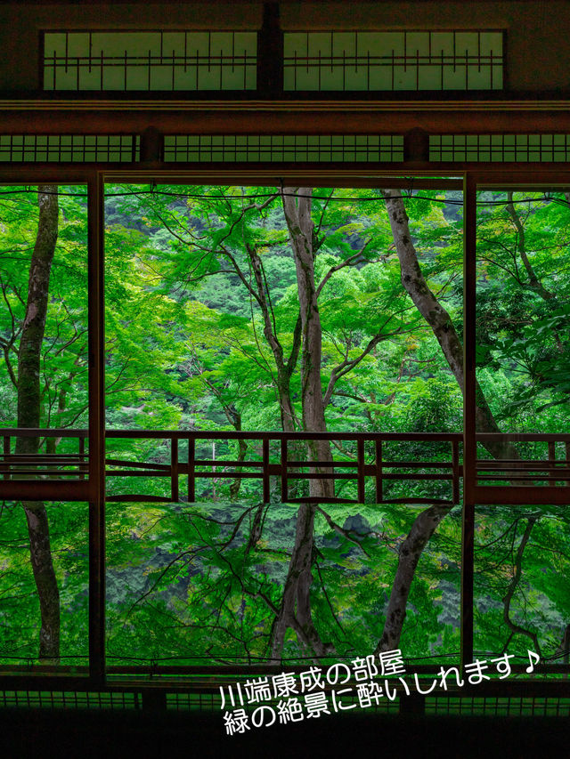 青もみじのリフレクションに酔いしれる【嵐山 祐斎亭】