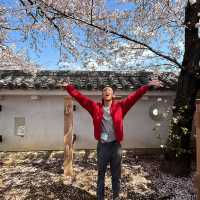 Kofu Castle is a Hidden gems in Japan 🇯🇵 