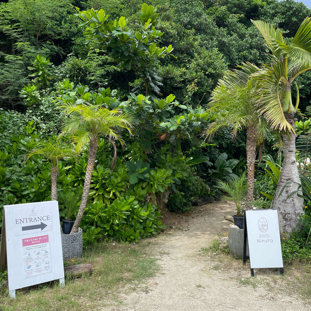 【宮古島】全席オーシャンビューの超おしゃれカフェ☕️🌺