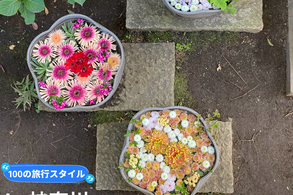 🇯🇵】HANA BIYORI - Just a short distance from Tokyo! Feel the