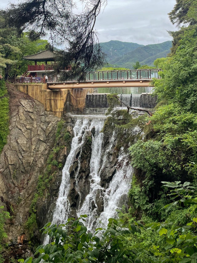 이곳이 바로 한국의 스위스🇨🇭🌿