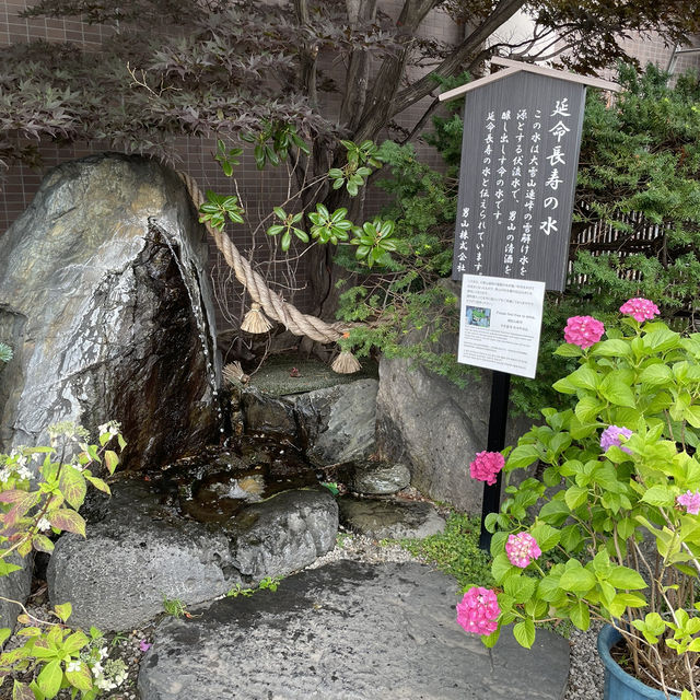清酒廠外賞花