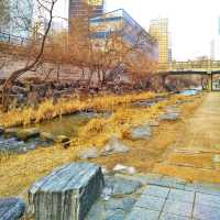 🇰🇷 The Winter Stillness of Cheonggyecheon Stream