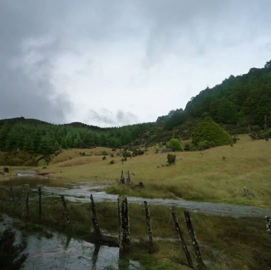 "Abel Tasman National Park: New Zealand’s Coastal Paradise for Adventure and Relaxation"