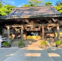 【金沢】花手水がかわいい神社⛩