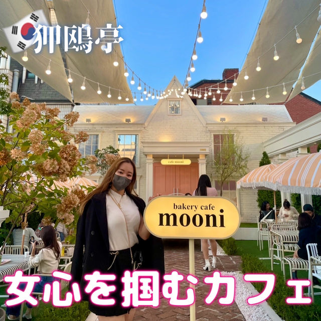 【韓国】狎鴎亭で大人気の360°可愛いカフェ🩷