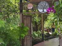 Oasis ใจกลางเมืองระยอง B‘forest Cafe Rayong 🍃