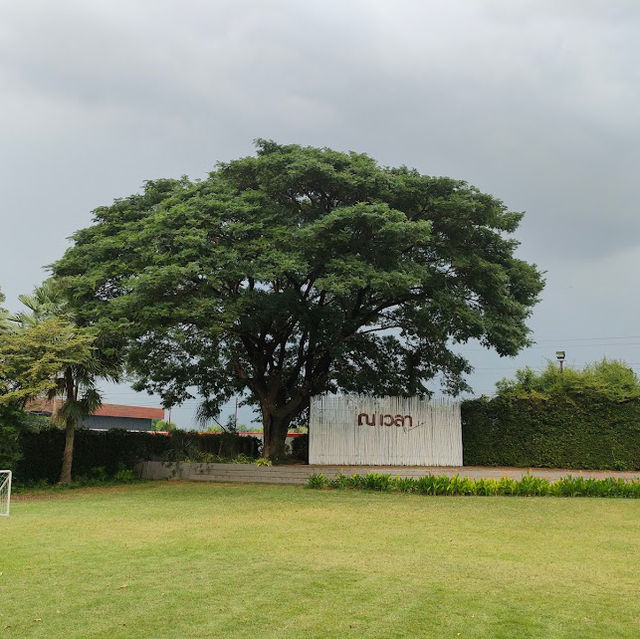 🌳Navela Hotel & Convention 