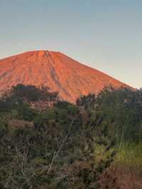 Sunrise Shining on Mount Rinjani in Sembalun, Lombok 🇮🇩