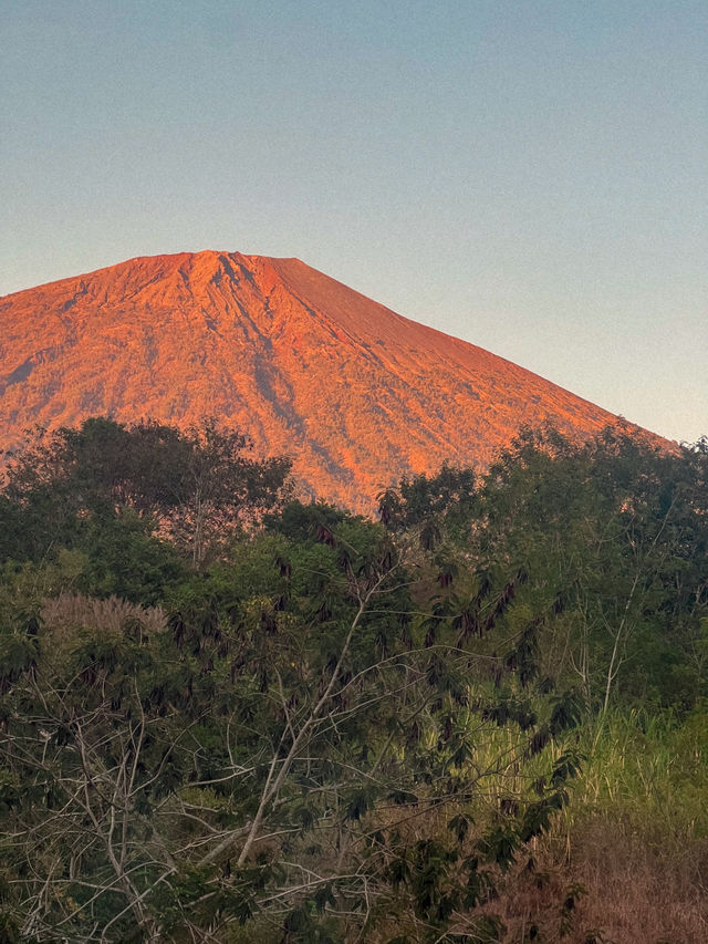 Sunrise Shining on Mount Rinjani in Sembalun, Lombok 🇮🇩