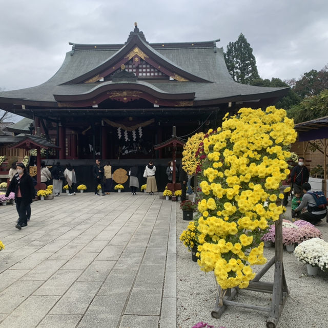 笠間稲荷神社！！