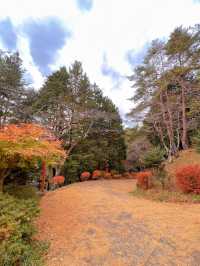 【山梨】富士山見ながら紅葉狩り