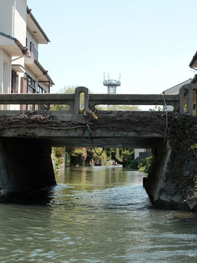 福岡｜柳川遊船特色體驗 🚣🚣
