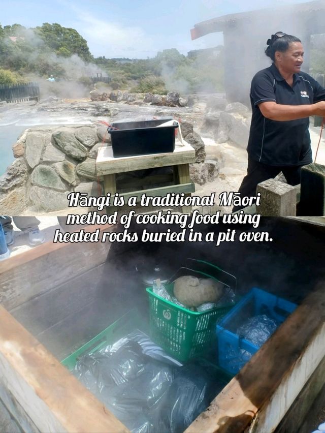 🇳🇿 Whakarewarewa Thermal Valley