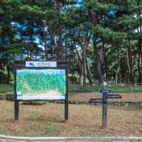 한국 최초의 서원