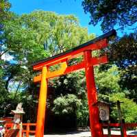 【京都】京都旅 必ず訪れたい京都屈指のパワースポット下鴨神社