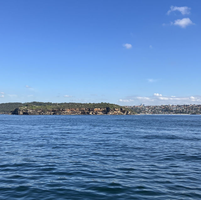 Sydney Bay อ่าวซิดนีย์ ประเทศออสเตรเลีย