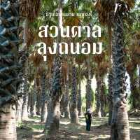 ไปเที่ยวอุโมงค์ต้นตาลที่ จ. เพชรบุรีกัน 🌴🌴