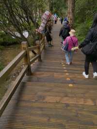 Beautiful Hiking Trail in Huanglong Valley