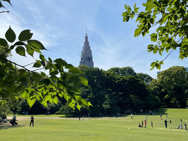Shinjuku Gyoen National Garden: A Serene Oasis Amidst the Urban Jungle